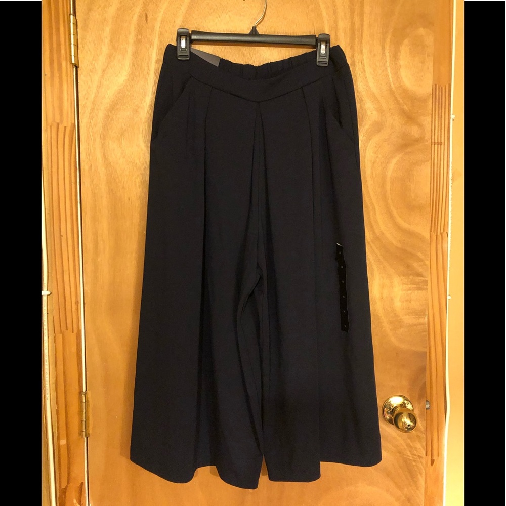Banana Republic Wide Leg High Rise Cropped Pants